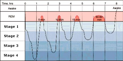 rem sleep chart