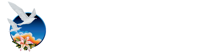 New Image International Logo - Light